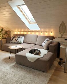 a dog laying on top of a couch in a living room