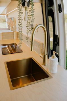 a kitchen sink and counter in a small home or office area with plants hanging from the ceiling