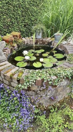 a small pond with water lilies in it