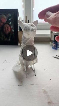 a person is holding a small statue of a cat in plastic wrap on a table