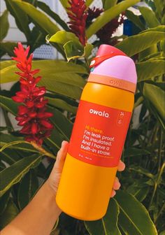 a hand holding an orange and pink sunscreenr in front of some plants with red flowers