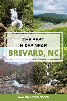 the best hikes near brevard, nc