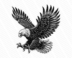 an eagle flying with its wings spread out and taloning it's claws in the air