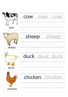 the words in this worksheet are for children to learn how to read animals