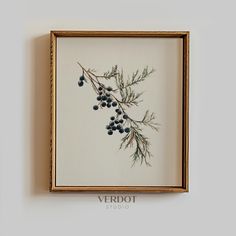 a framed painting with berries hanging on the wall