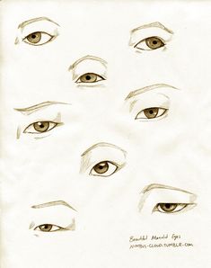 a drawing of different types of eyes