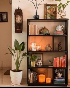 a bookshelf filled with lots of books next to a potted plant on top of a table