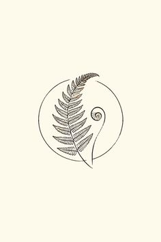 a drawing of a fern leaf on a white background