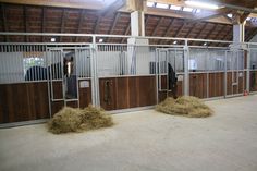 two horses in stalls with hay on the floor