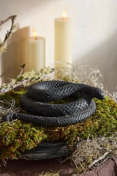 a black snake laying on top of moss next to two white candles and some branches