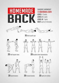 a poster showing how to do back exercises