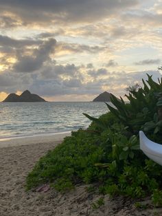 a white boat sitting on top of a lush green field next to the ocean with mountains in the background