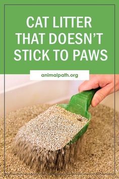 a person using a brush to clean a litter box with the words, cat litter that doesn't stick to paws