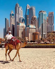 a man riding on the back of a camel in front of a cityscape