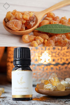 Frankincense essential oil by Kumi Oils, prized for its grounding and rejuvenating properties. Ideal for use in essential oil blends and DIY recipes to promote relaxation, meditation, and skin health. Benefits Of Frankincense Essential Oil, Benefits Of Frankincense, Frankincense Benefits, Frankincense Oil, Frankincense Essential Oil, Daily Rituals