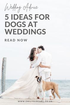 a bride and groom kissing on the dock with their dog in front of them, text reads 5 ideas for dogs at wedding read now