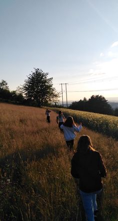 some people are walking through the tall grass