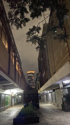 an empty city street at night with tall buildings in the back ground and trees on either side