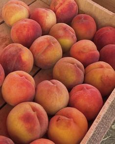 a box filled with lots of ripe peaches