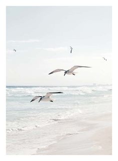 three seagulls flying over the ocean on a beach