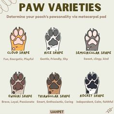 the paw varieties for dogs are shown in this poster