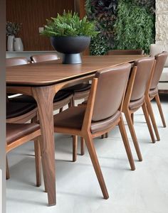 a wooden table surrounded by brown chairs and a potted plant on top of it