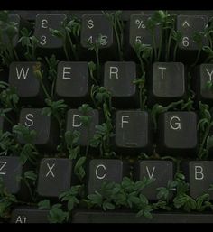 a keyboard with plants growing out of it and the letters written in white on top