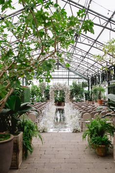 the inside of a greenhouse with lots of potted plants and water fountain in it