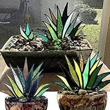 two potted plants sitting on top of a table