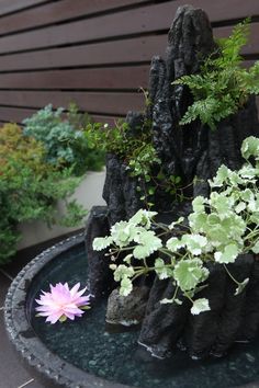 there is a potted plant on top of a rock in the middle of a garden