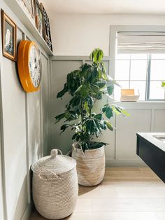 two planters sitting next to each other in front of a clock on the wall