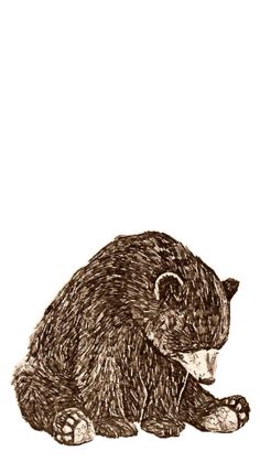 a drawing of a bear sitting on the ground