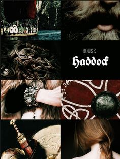 a collage of photos with the words house blood