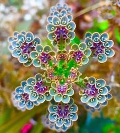 an image of a snowflake that is very colorful