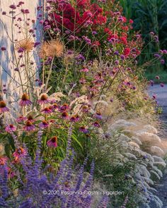 an assortment of colorful flowers and plants next to a building