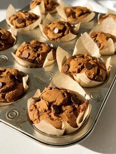 chocolate chip muffins sitting on top of a baking pan