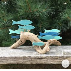 three fish on driftwood with pine tree in the backgrounnd and number 3