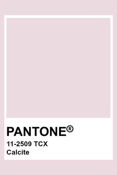 the pantone color is shown in white and has a square frame on top of it