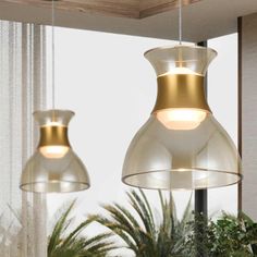 two lights hanging from the ceiling in a room with plants and potted plants on the table