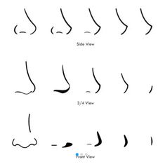 the different types of nose shapes and how they are used to make them look like noses