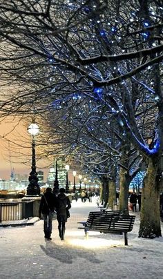 two people walking down a snowy sidewalk next to trees with blue lights on the branches