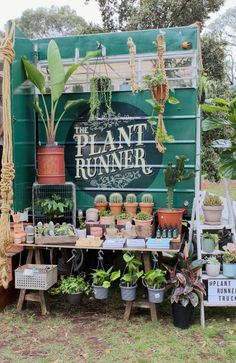 the plant runner stand is full of potted plants