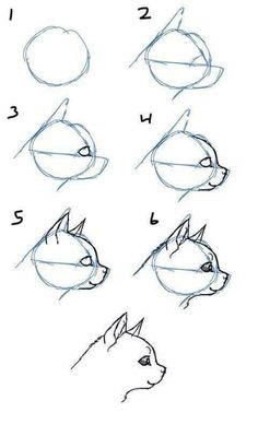 how to draw a dog's head step by step with pictures and instructions for beginners