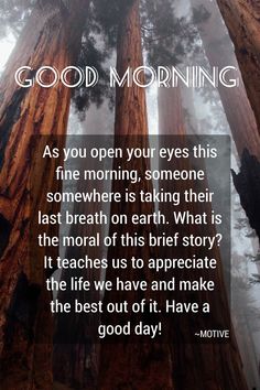 the quote for good morning is shown in front of tall trees