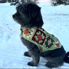 a black dog wearing a crocheted sweater in the snow