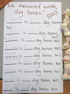 a paper with writing on it sitting next to a pile of bones and bone markers