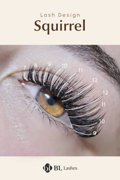 Discover the mapping for the squirrel-inspired lash extension design in this post! Squirrel Eyelash Extensions Mapping, Squirrel Lash Extensions Map, Squirrel Eye Lash Extensions, Squirrel Eyelash Mapping, Squirrel Lash Map, Squirrel Lashes, Squirrel Eyelash Extensions, Squirrel Lash Extensions, Lashify Maps