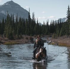 a man riding on the back of a brown horse across a river next to forest