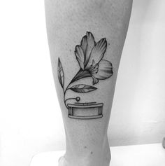 a black and white photo of a flower on the leg