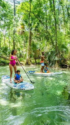 three people are paddle boarding in the water with trees and bushes behind them, while another person is standing on a surfboard